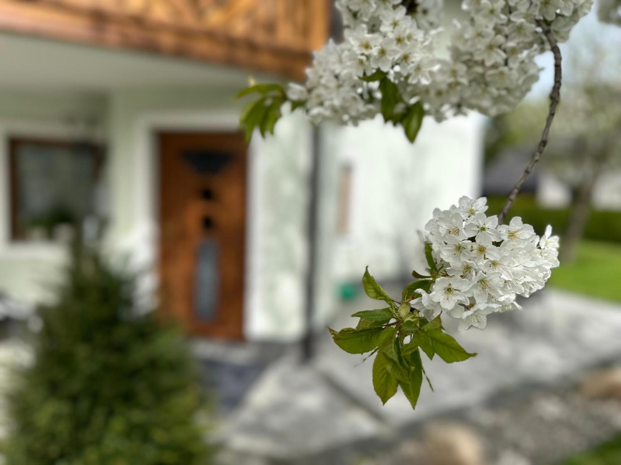Romantic Chalet - Alpine Getaway Salzkammergut Viechtwang Bagian luar foto